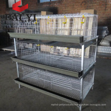 Automatic Drinking System Broiler Wire Cage Mesh/ Broiler Cage for Sale in Kenya